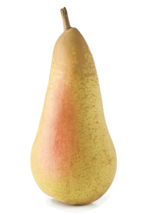 hruške