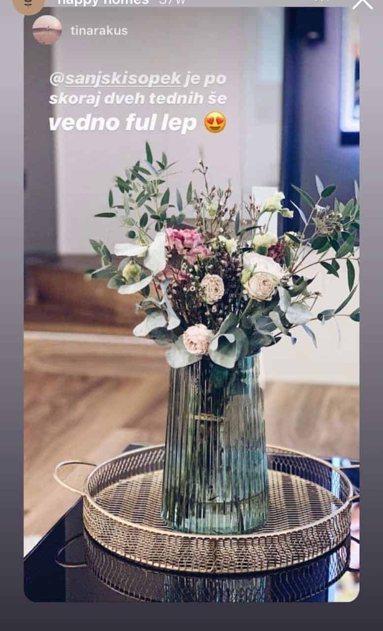 Sanjski Opek