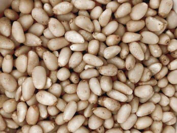 Recept Proti Staranju
